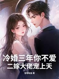 冷婚三年你不爱，二嫁大佬宠上天