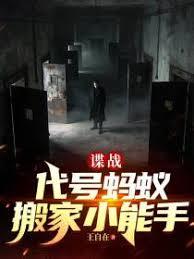 谍战，代号蚂蚁，搬家小能手