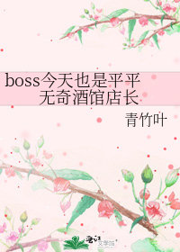 boss今天也是平平无奇酒馆店长 完结+番外