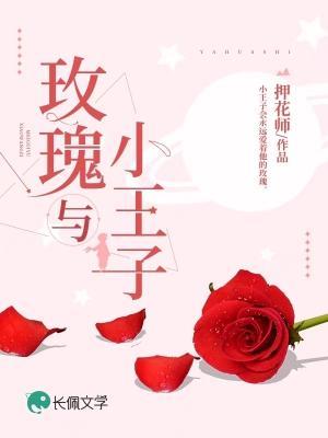 玫瑰与小王子押花师免费阅读