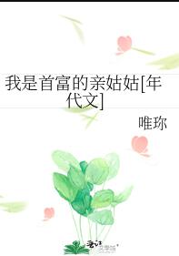 我是首富的亲姑姑[年代文]作者:唯s