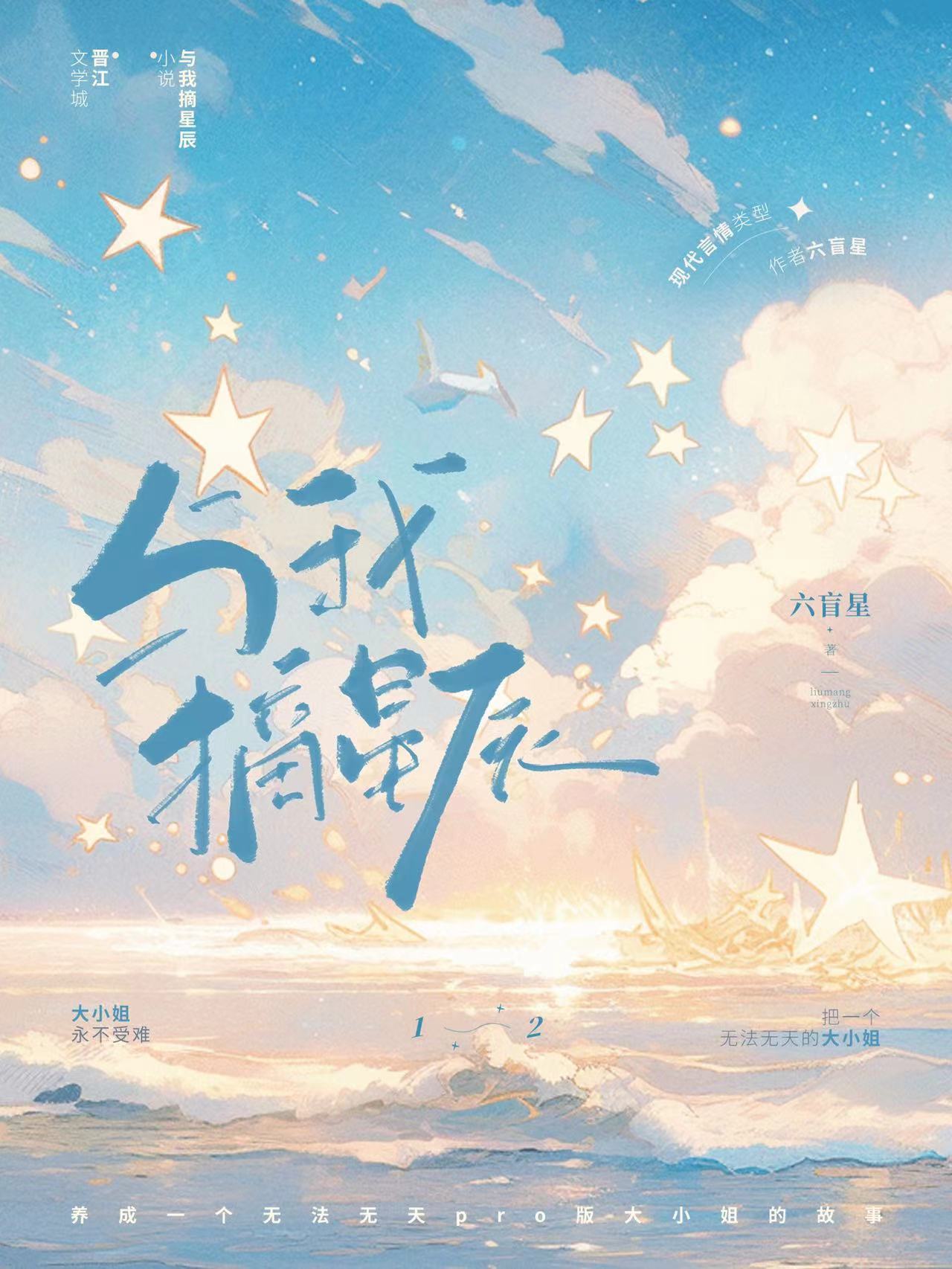 与我摘星辰by六盲星讲的什么