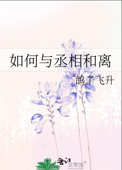 小说如何与丞相和离