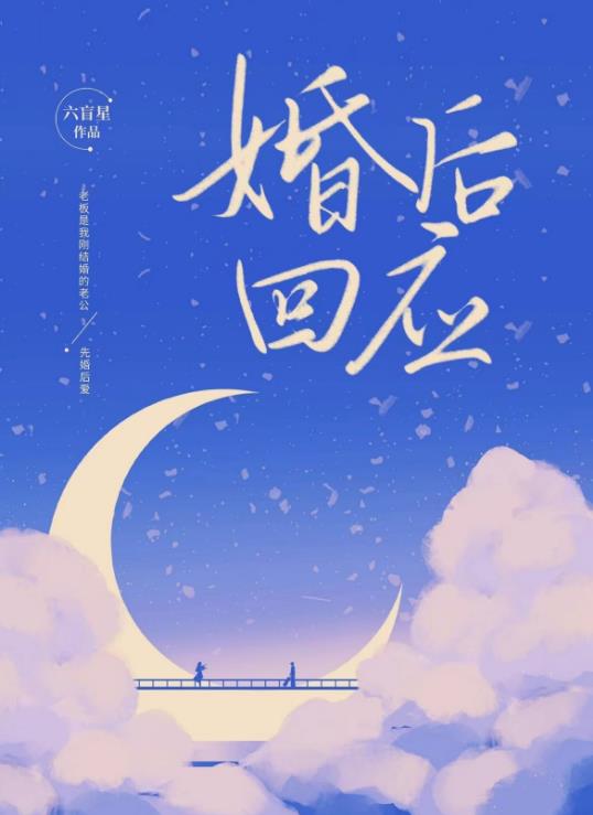 婚后回应六盲星免费阅读番外