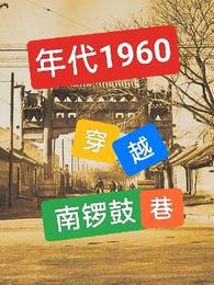 年代1960四合院穿越南锣鼓巷